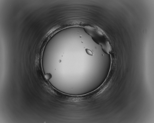 X0000086300778200704131608