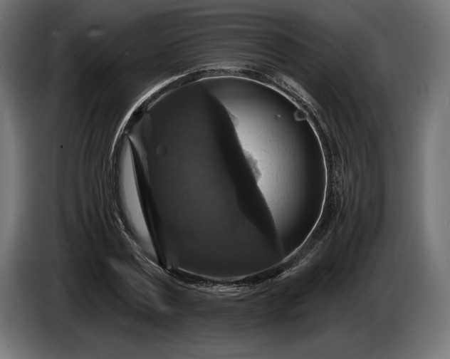 X0000086300779200704131608