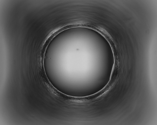 X0000086300781200704131608