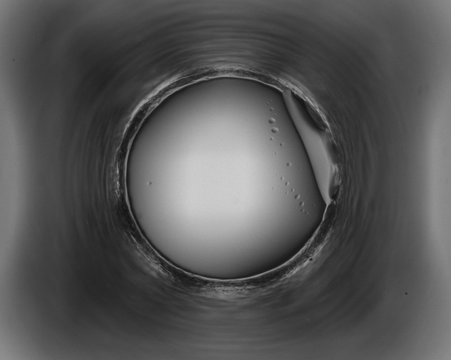 X0000086300782200704131608