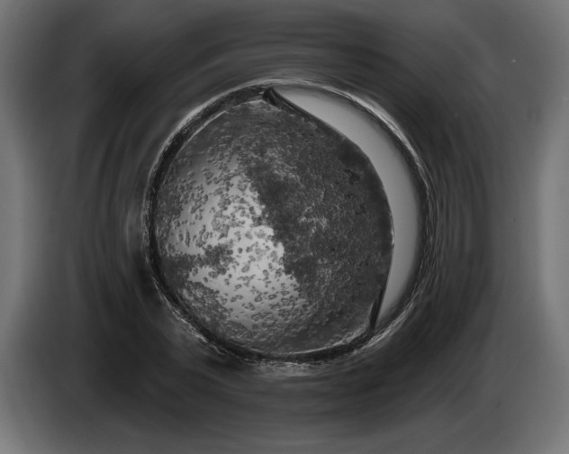 X0000086300783200704131608