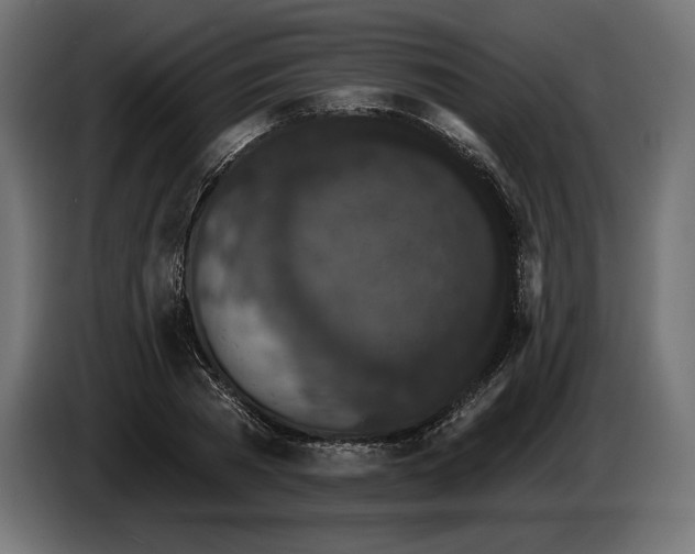 X0000086300785200704131608