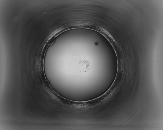 X0000086300786200704131608