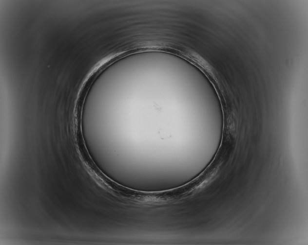 X0000086300787200704131608