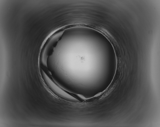 X0000086300788200704131608