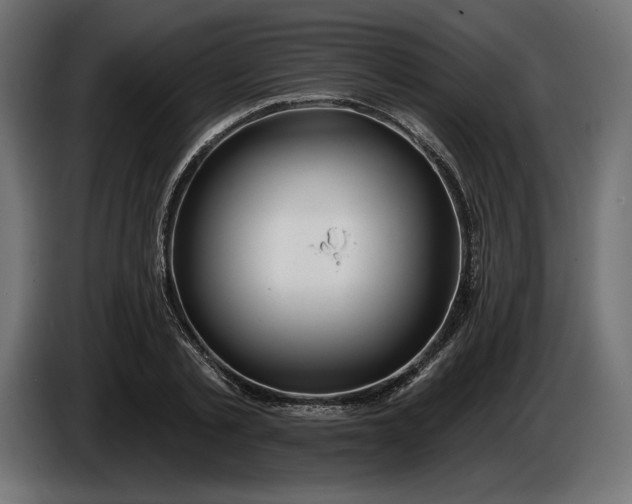 X0000086300789200704131608