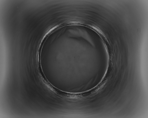 X0000086300790200704131608