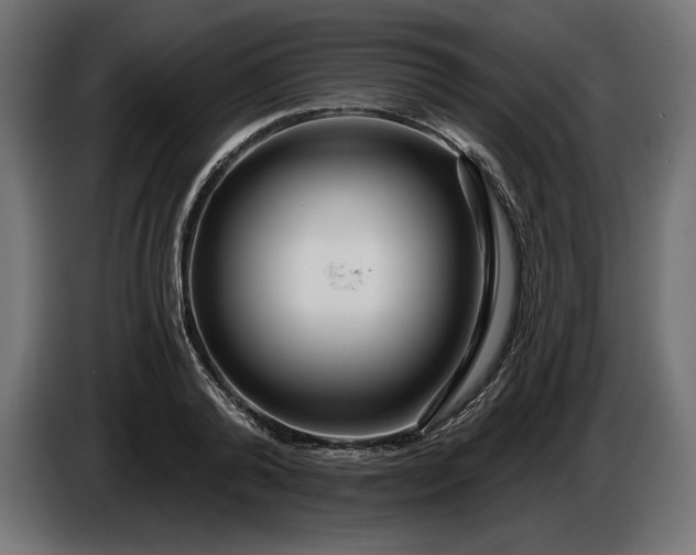 X0000086300792200704131608