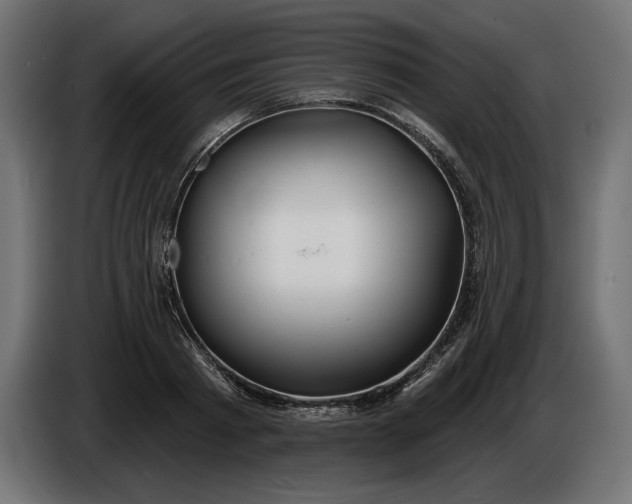 X0000086300793200704131608