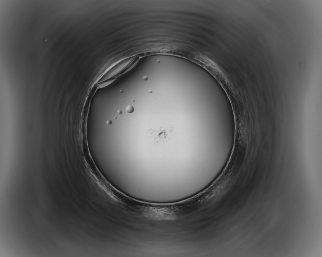 X0000086300794200704131608