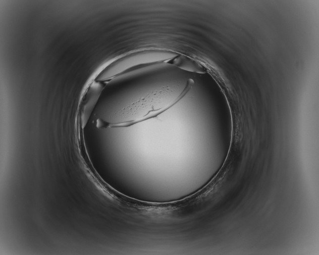 X0000086300796200704131608