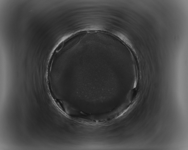 X0000086300797200704131608