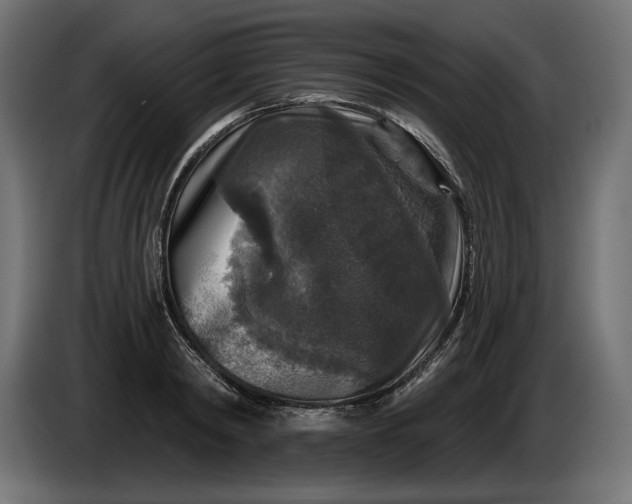 X0000086300798200704131608