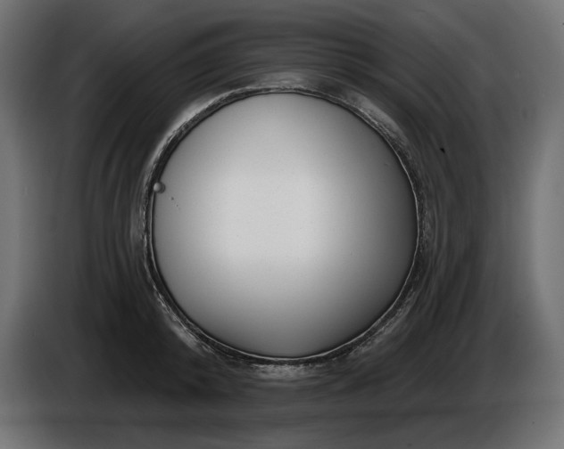 X0000086300800200704131608