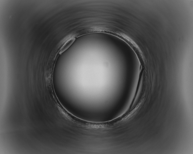 X0000086300801200704131608