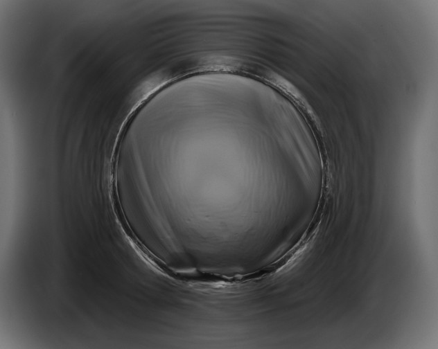 X0000086300802200704131608