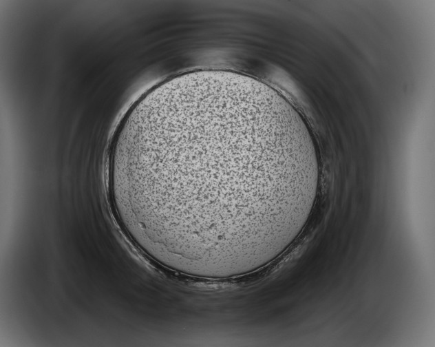 X0000086300804200704131608