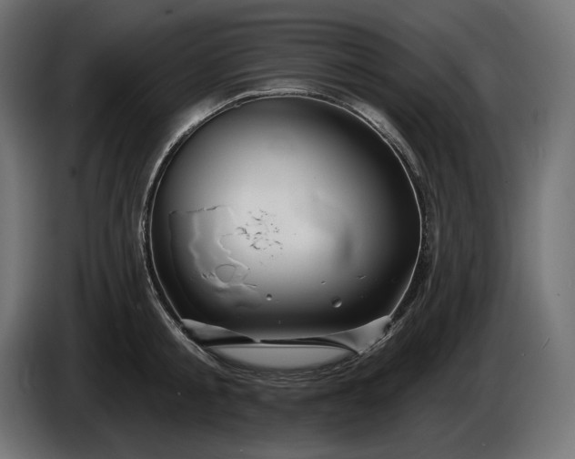 X0000086300805200704131608