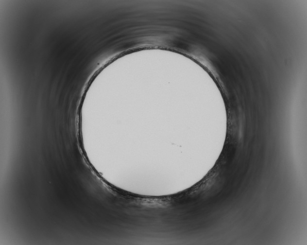 X0000086300807200704131608