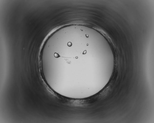 X0000086300808200704131608