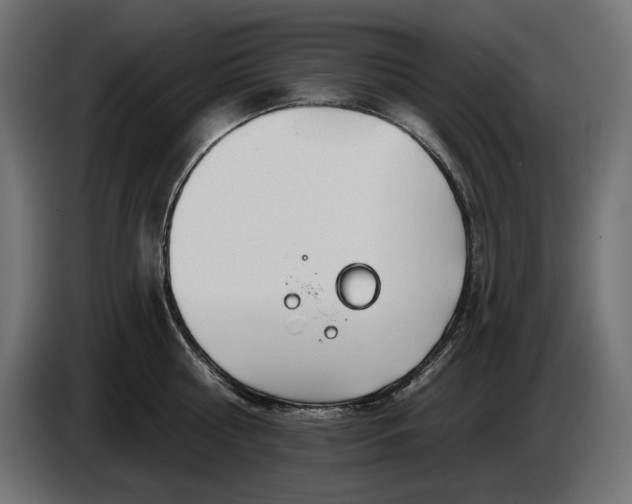 X0000086300810200704131608