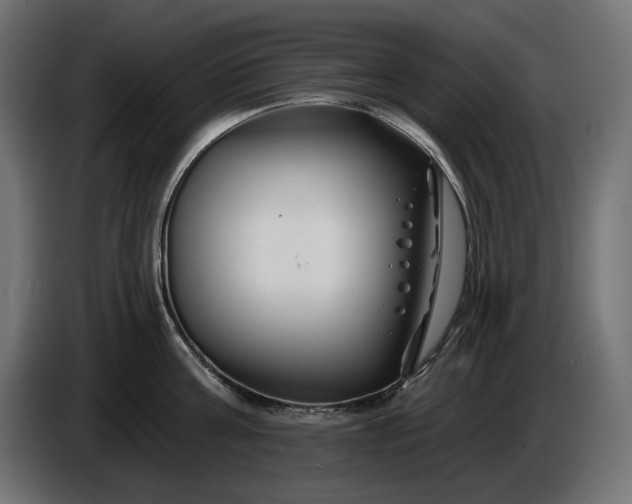 X0000086300811200704131608