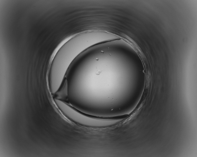 X0000086300812200704131608