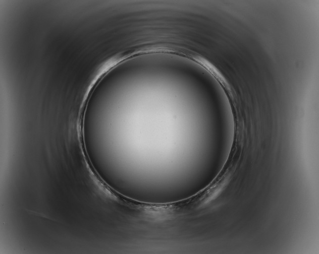 X0000086300813200704131608