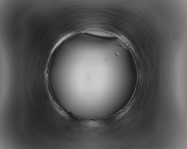 X0000086300814200704131608