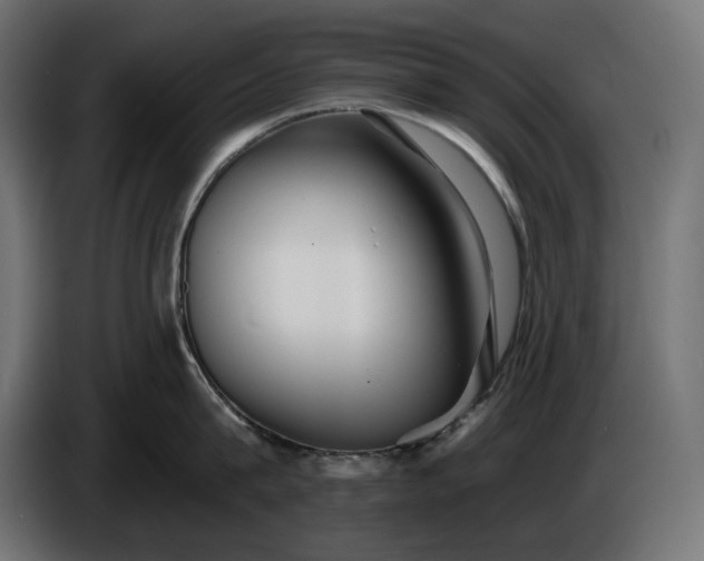 X0000086300815200704131608