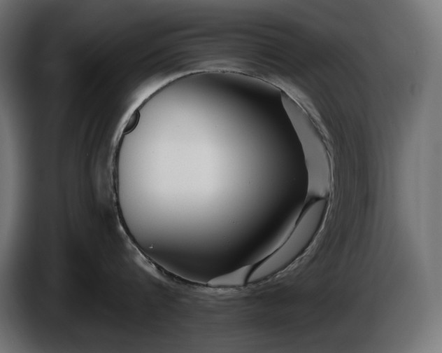 X0000086300816200704131608