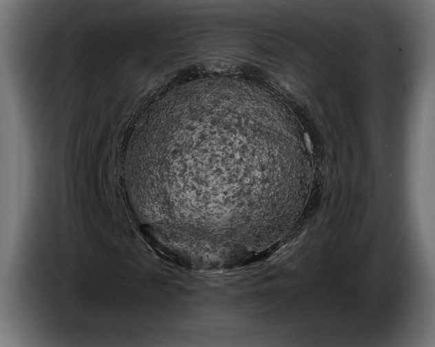 X0000086300817200704131607