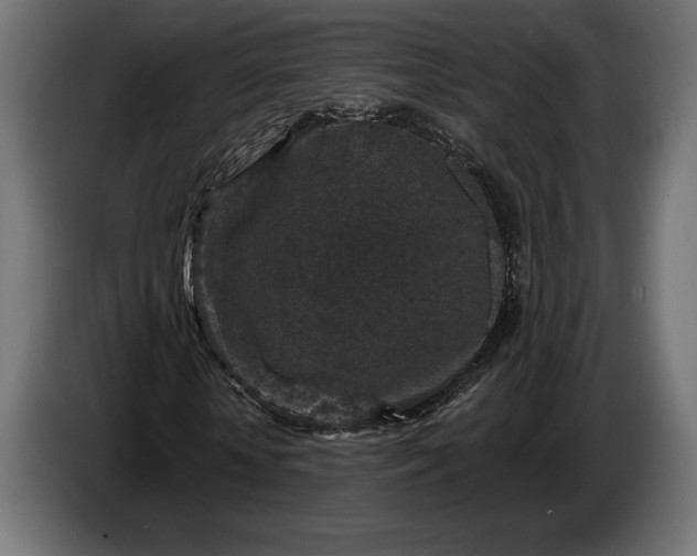 X0000086300818200704131607