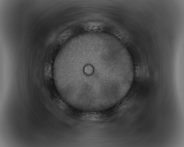 X0000086300820200704131607