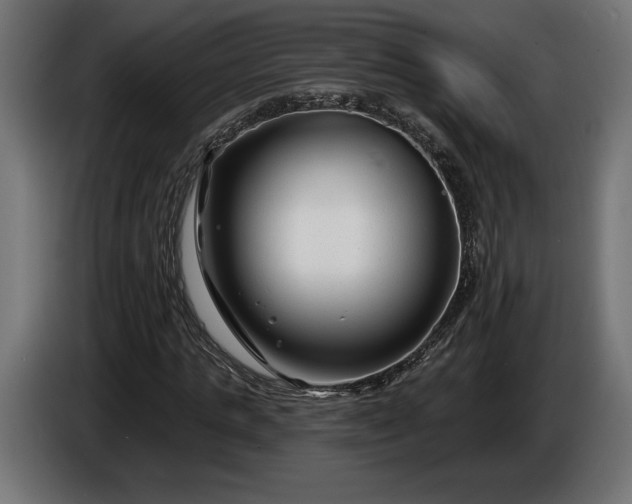 X0000086300821200704131607