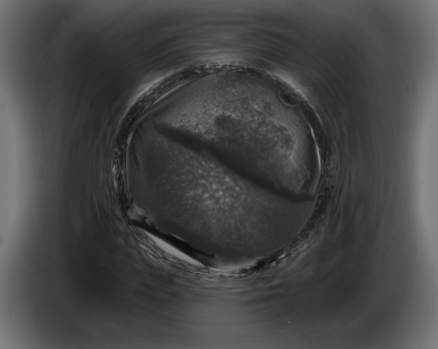 X0000086300823200704131607