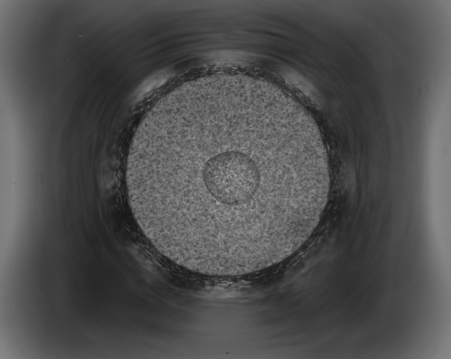 X0000086300824200704131607