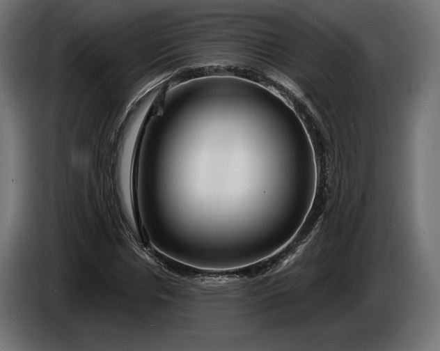 X0000086300826200704131607