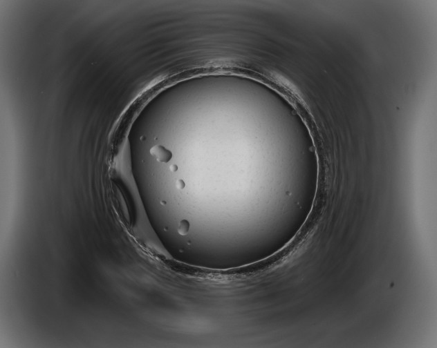 X0000086300827200704131607