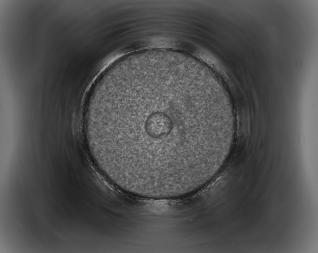 X0000086300828200704131607