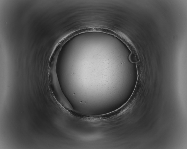 X0000086300831200704131607