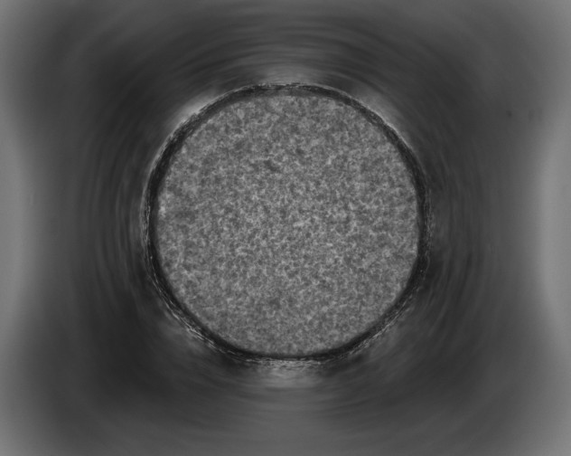 X0000086300832200704131607