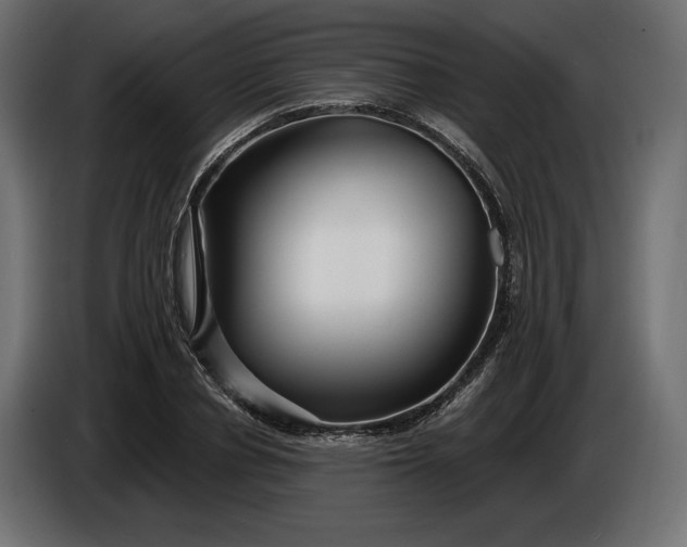 X0000086300834200704131607