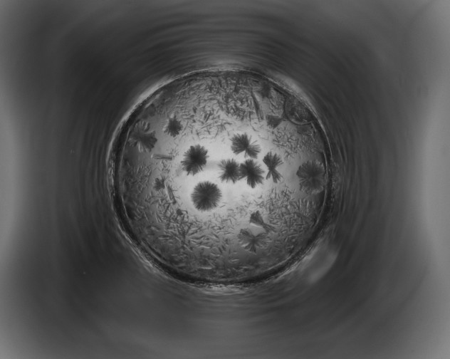 X0000086300835200704131608