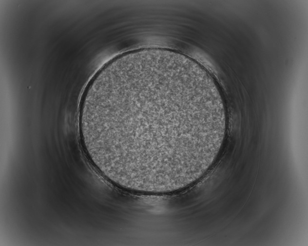 X0000086300836200704131608