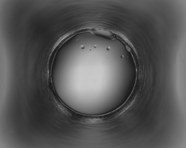 X0000086300837200704131608