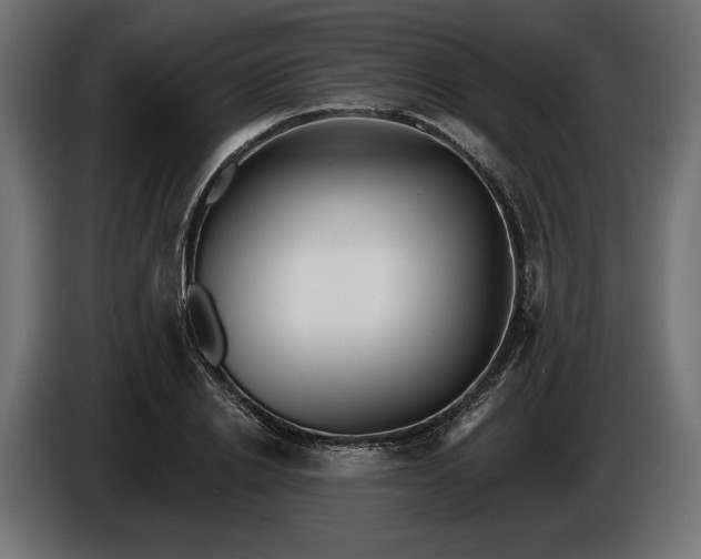 X0000086300838200704131608