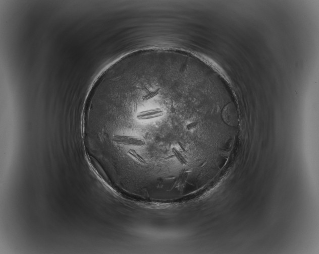 X0000086300839200704131608