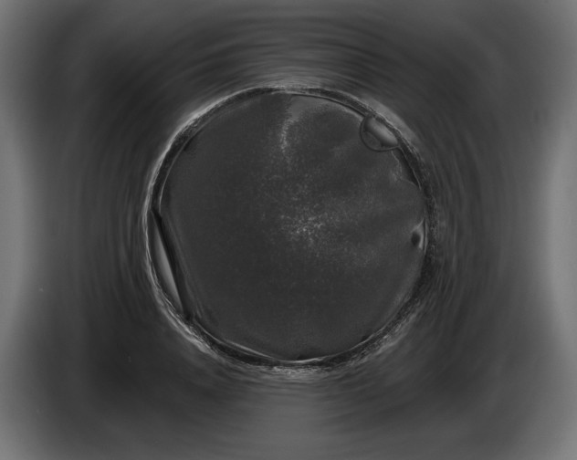 X0000086300840200704131608