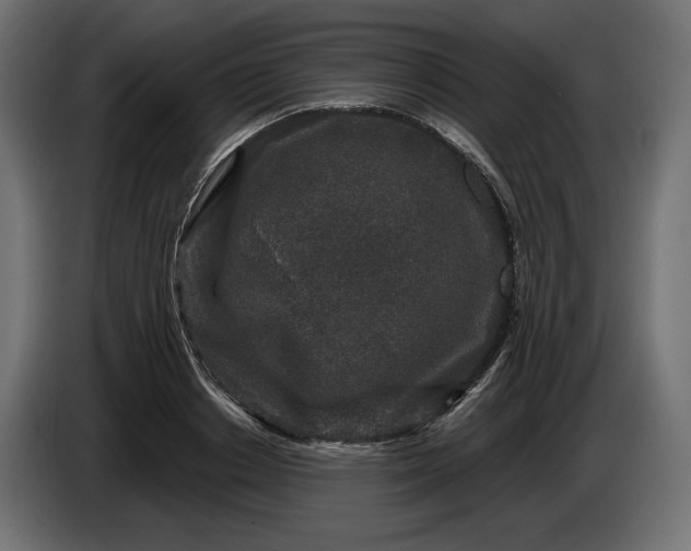 X0000086300842200704131608